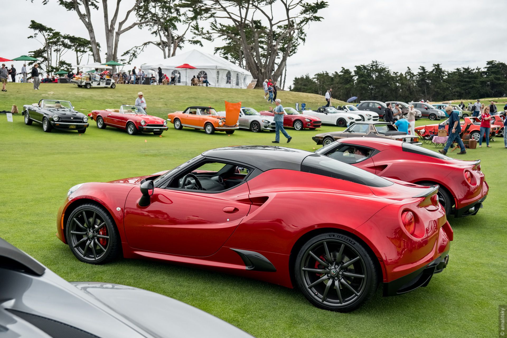 Alfa Romeo 4C