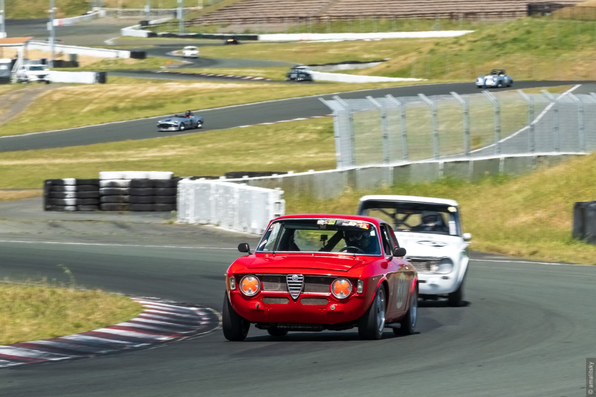 1965 Alfa Romeo Giulia Sprint GTV