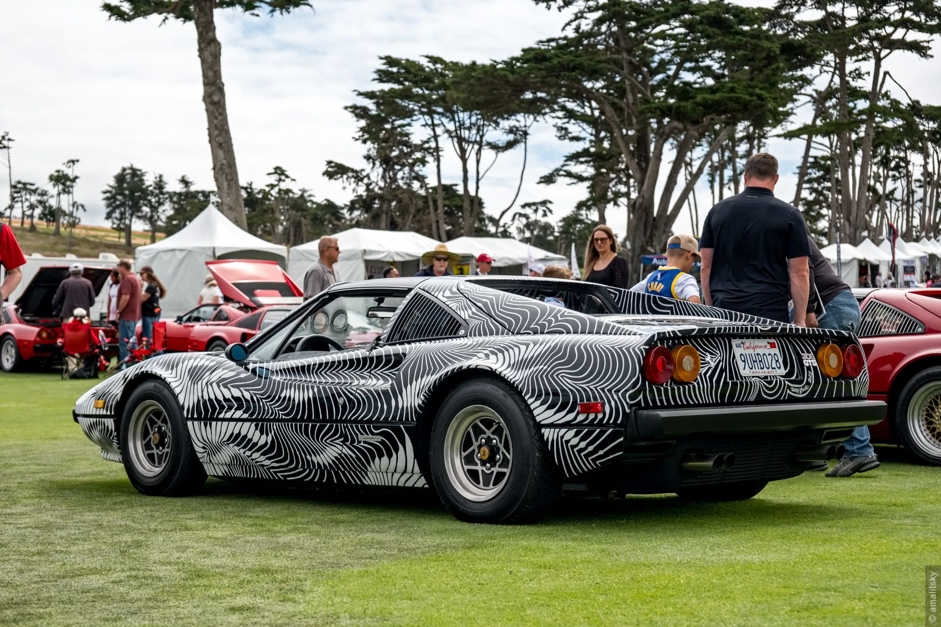 Ferrari 308 GTS Art Car