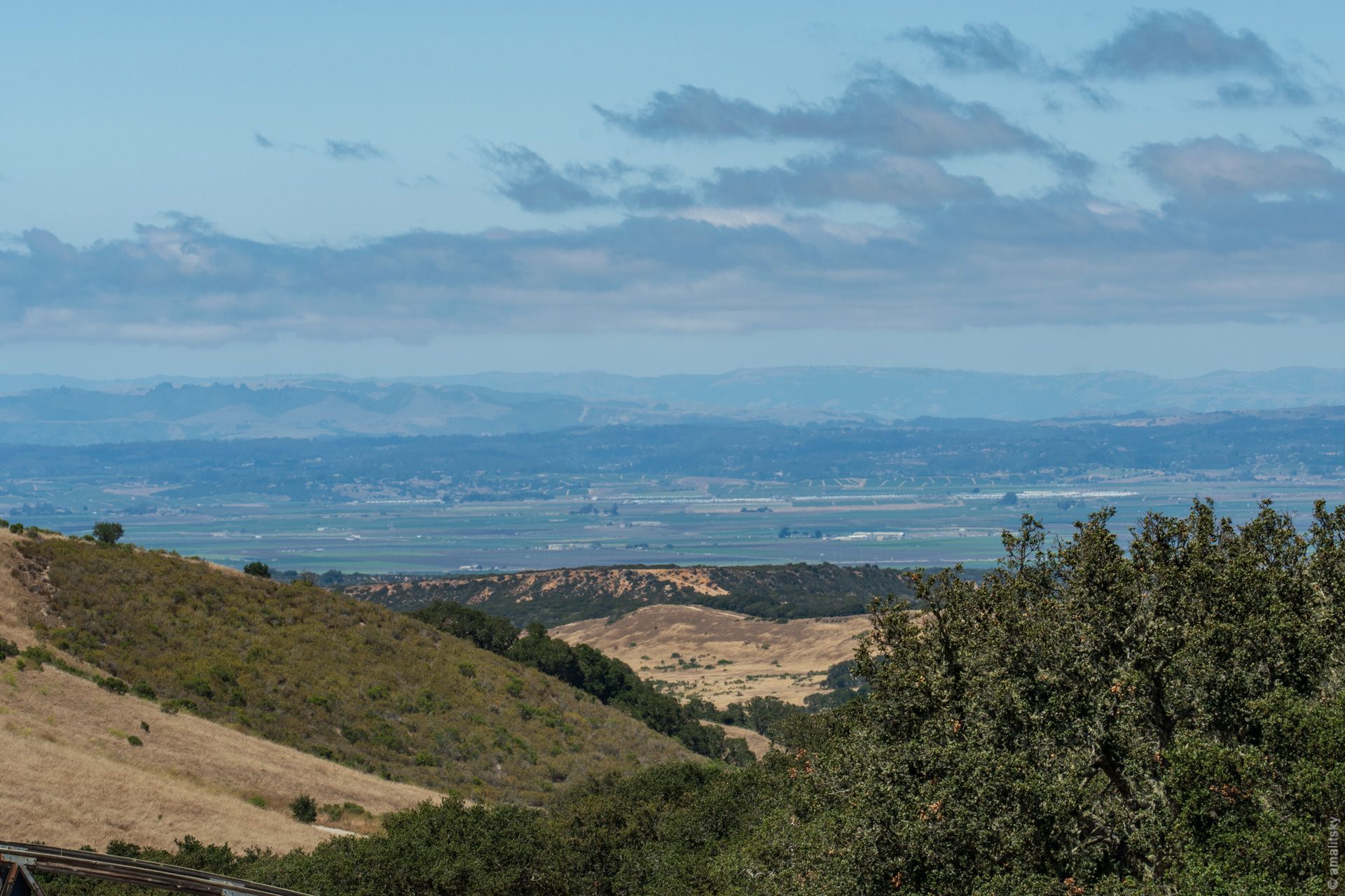 Salinas Valley