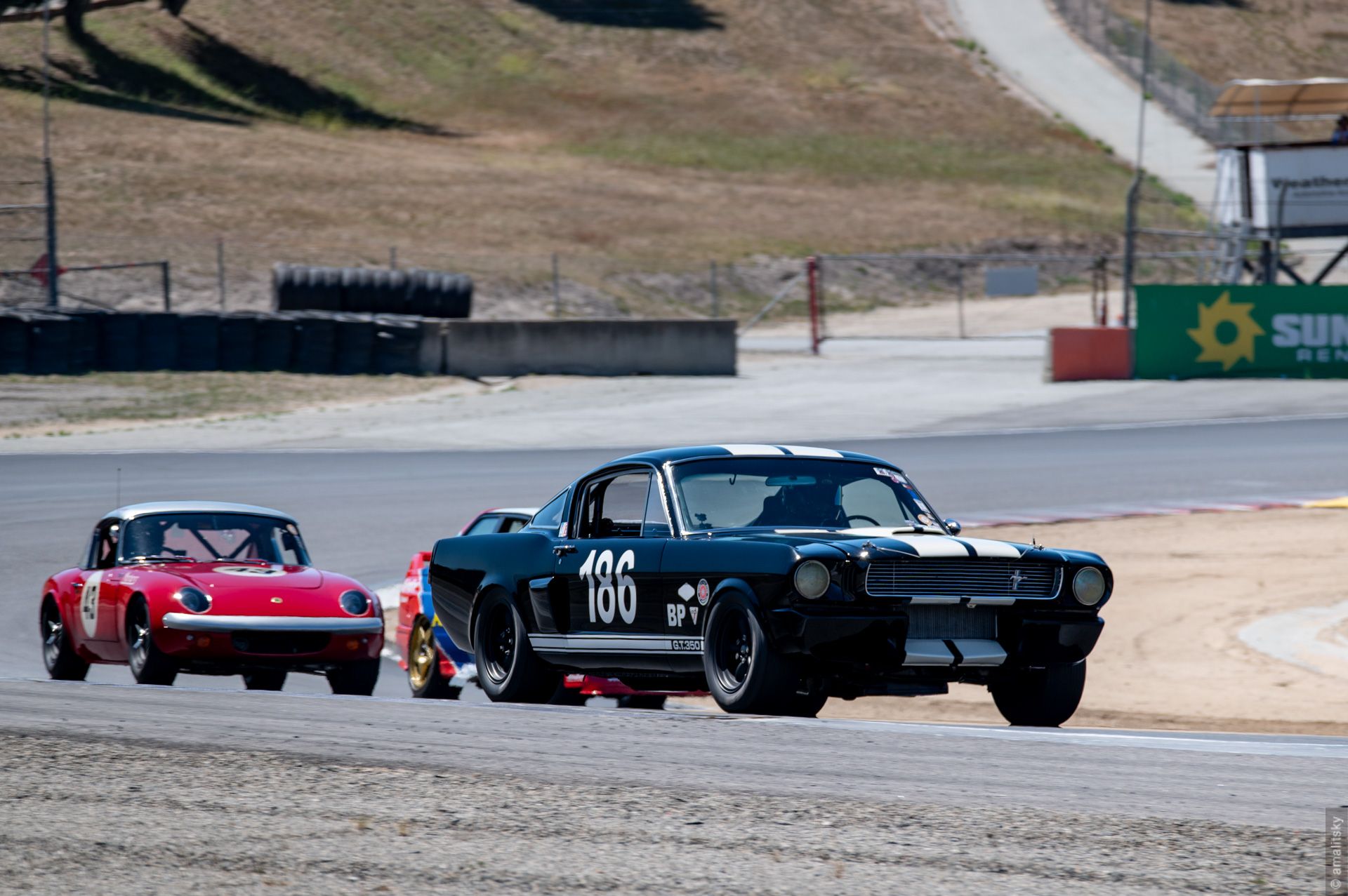 1966 Ford Shelby GT350