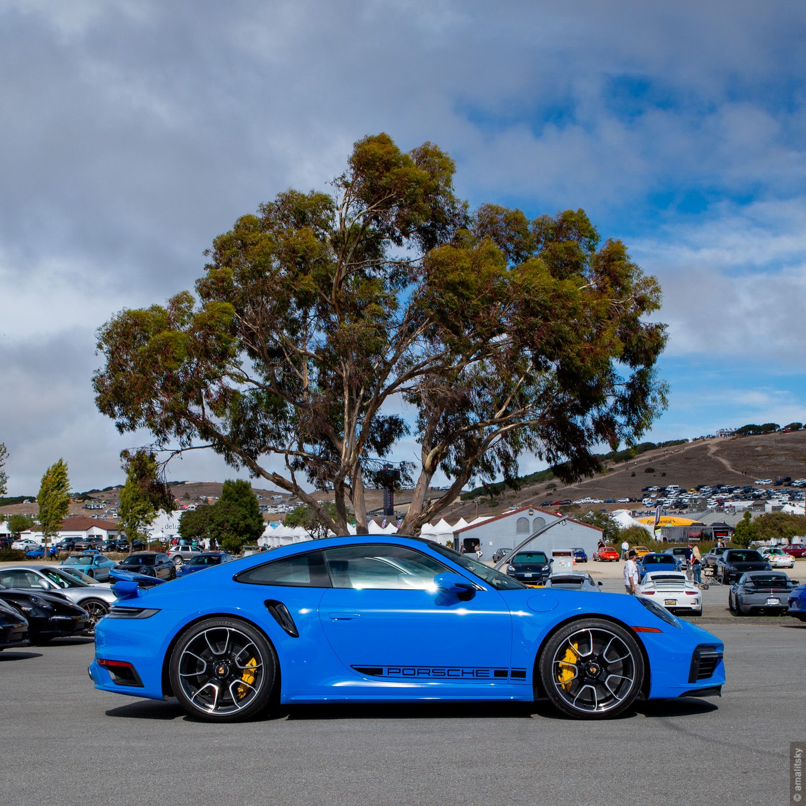 911 Turbo (992)
