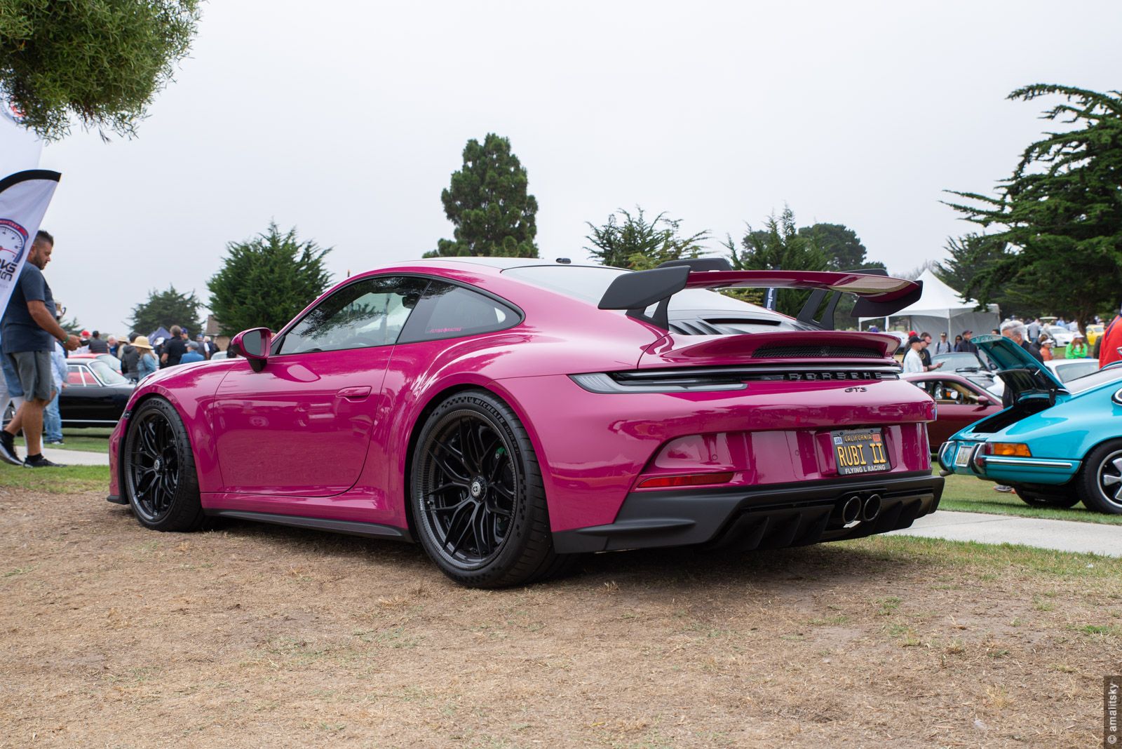 2022 992 GT3. Very similar car (but not this one) won the GT2/GT3/GT4 class