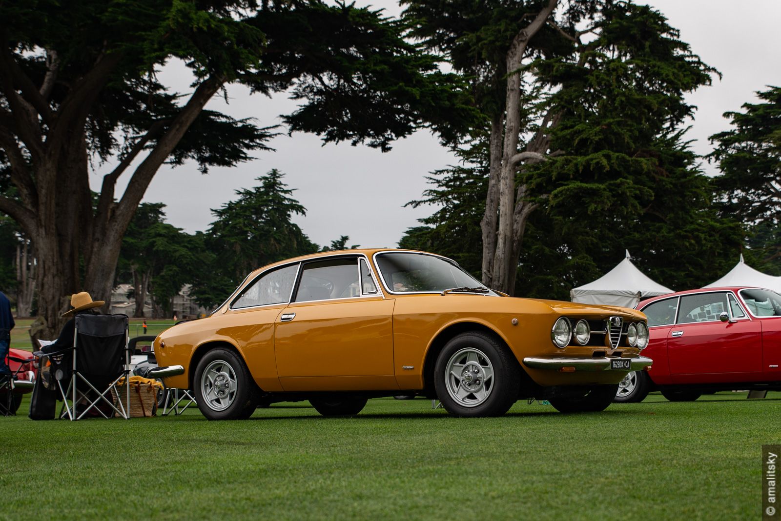 Alfa Romeo GTV