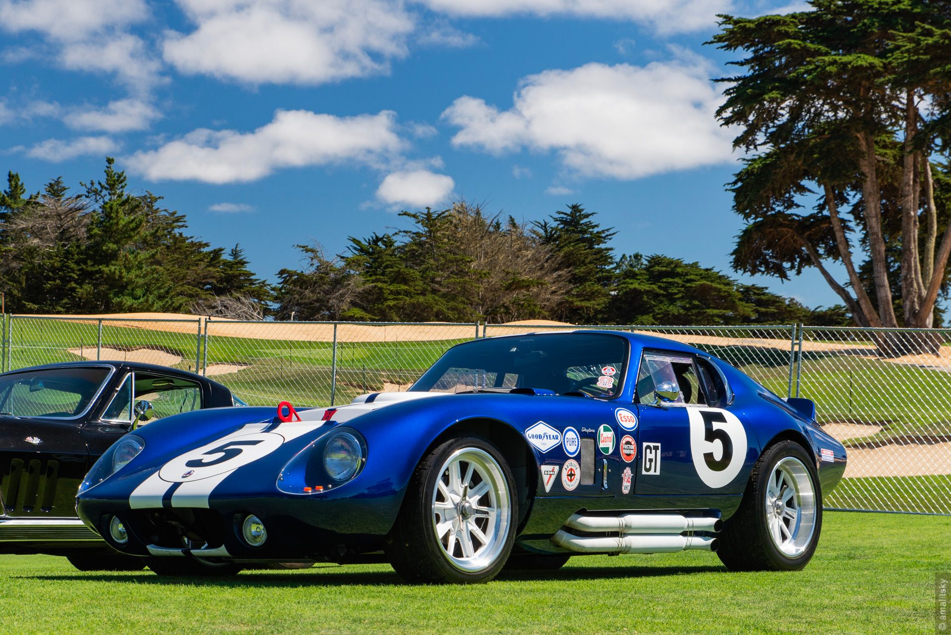 Shelby Daytona Type 65