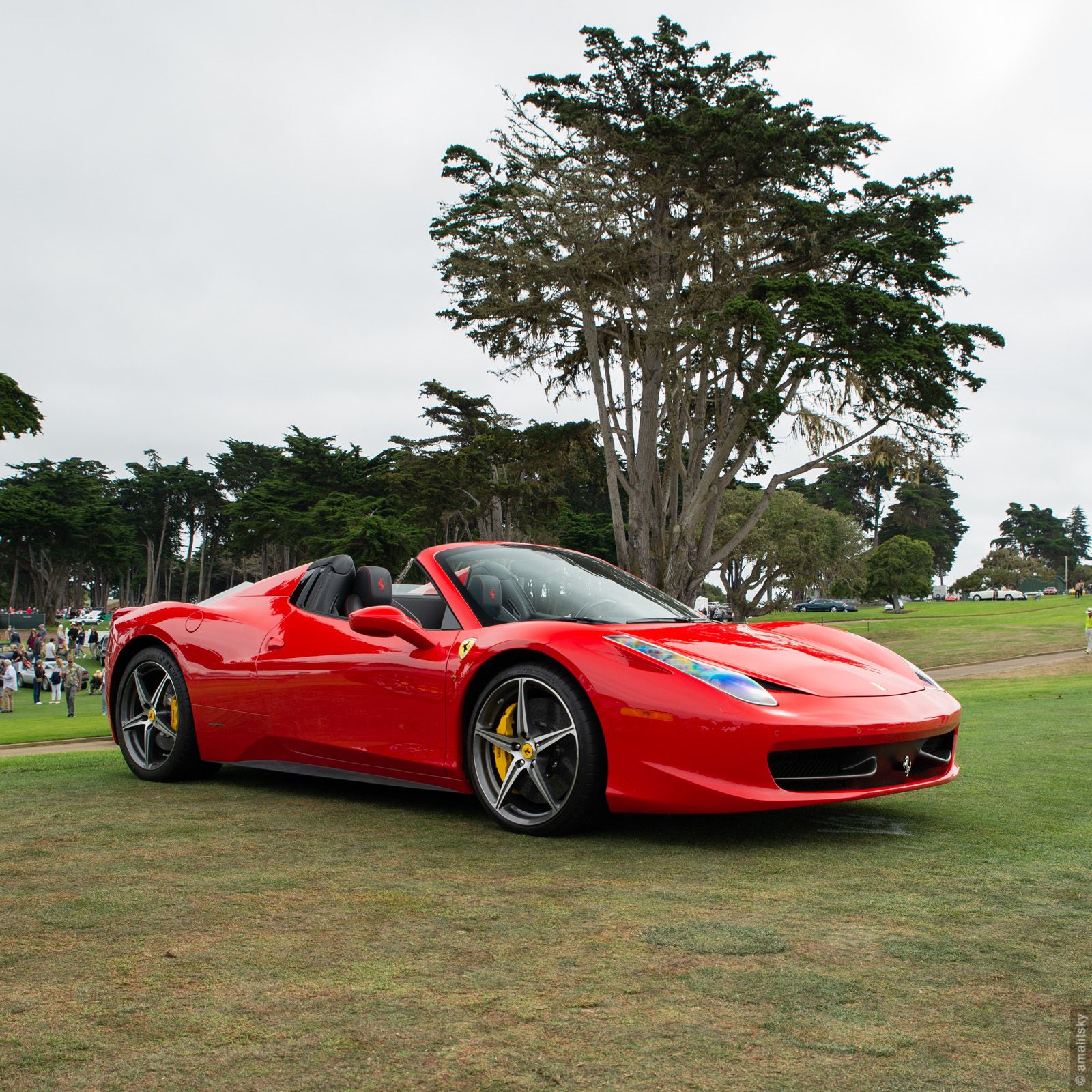 Ferrari 458 Spider