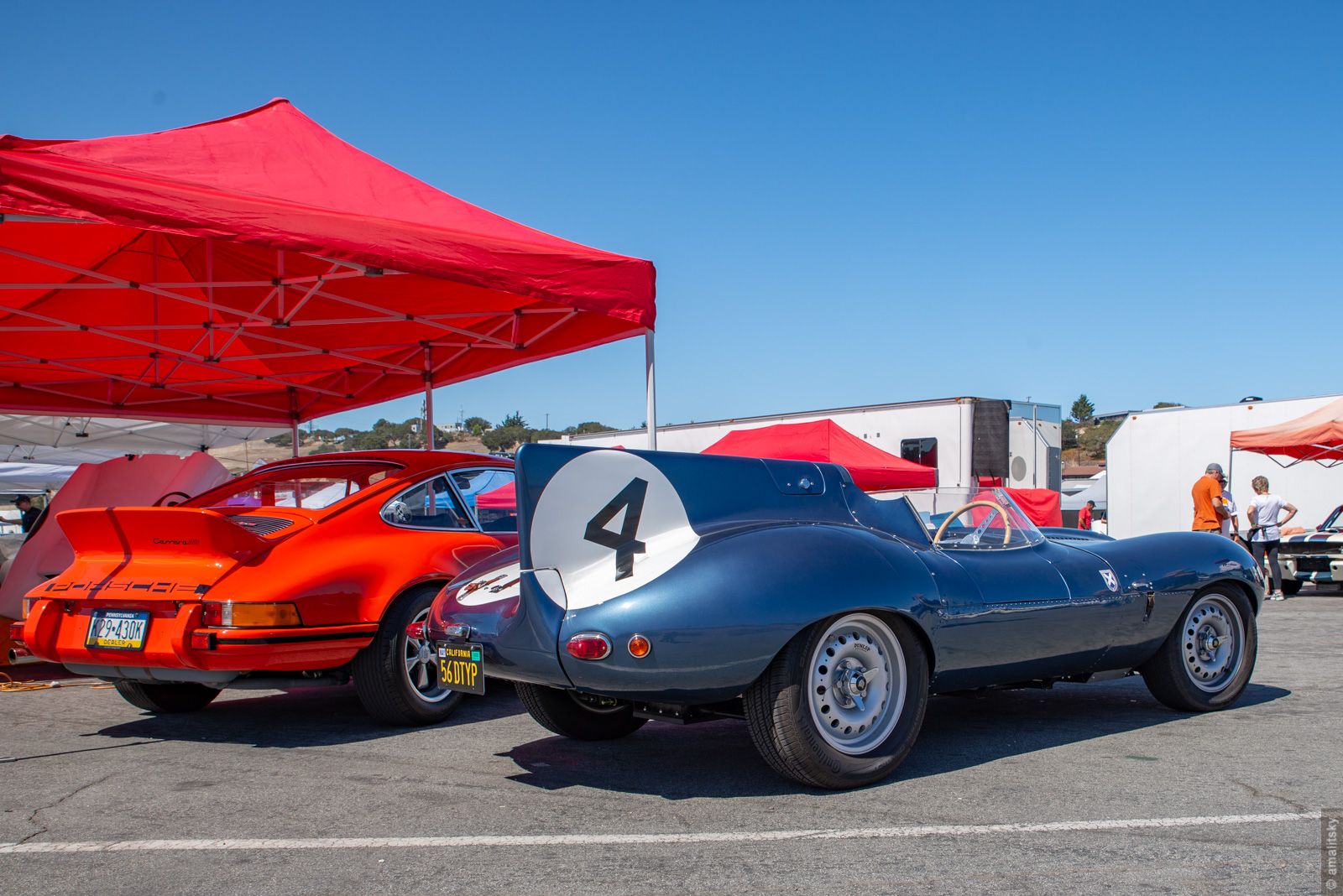 1956 Jaguar D type